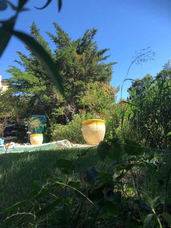B&B Oasis Des Lavandes - Chambre Coqueliot Villeneuve-lès-Avignon Eksteriør billede