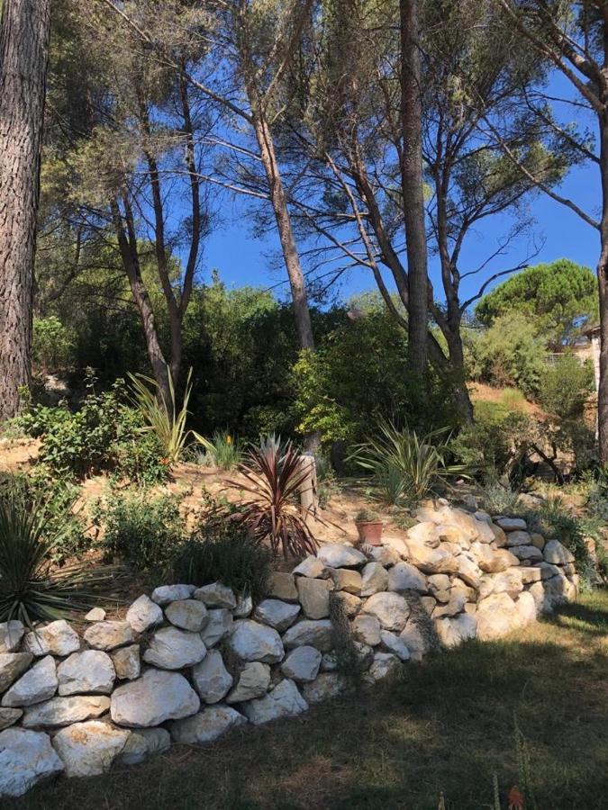 B&B Oasis Des Lavandes - Chambre Coqueliot Villeneuve-lès-Avignon Eksteriør billede