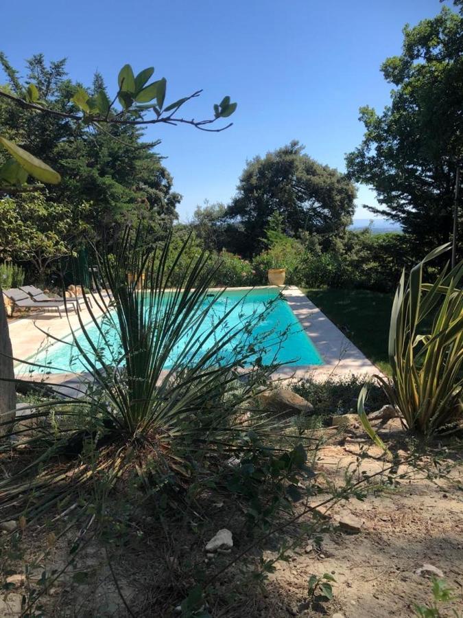 B&B Oasis Des Lavandes - Chambre Coqueliot Villeneuve-lès-Avignon Eksteriør billede